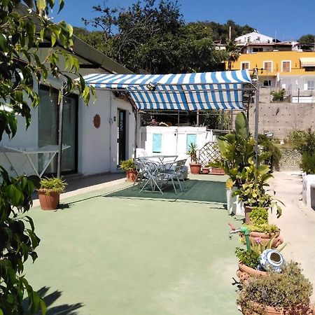 Raffaela Village Via Scannella N32 Forio di Ischia エクステリア 写真