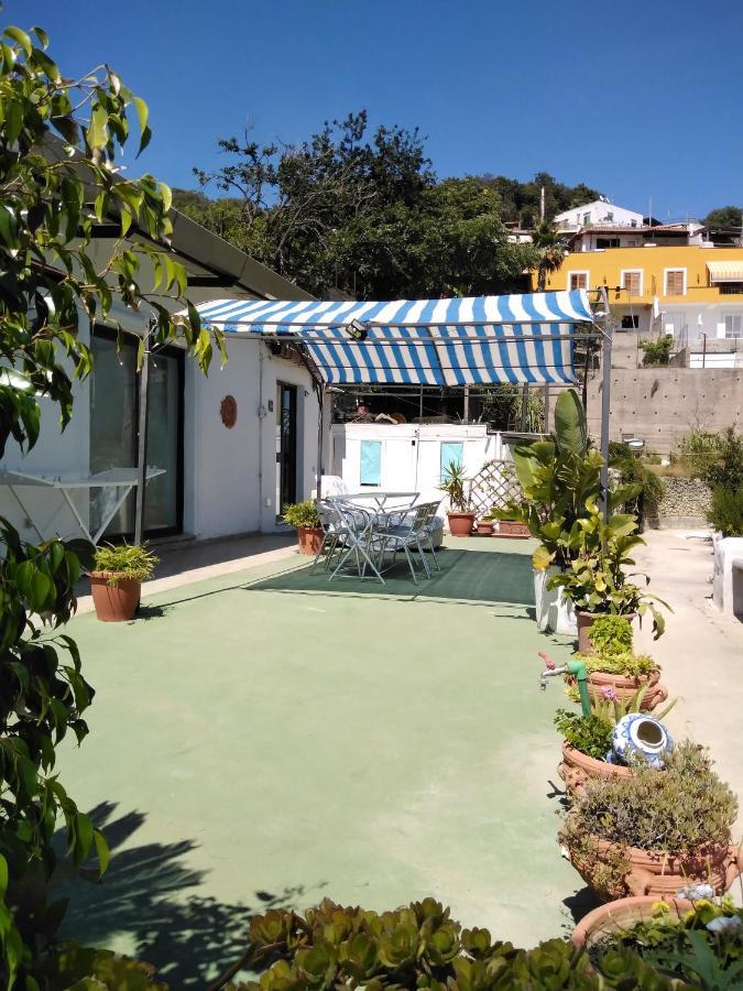 Raffaela Village Via Scannella N32 Forio di Ischia エクステリア 写真